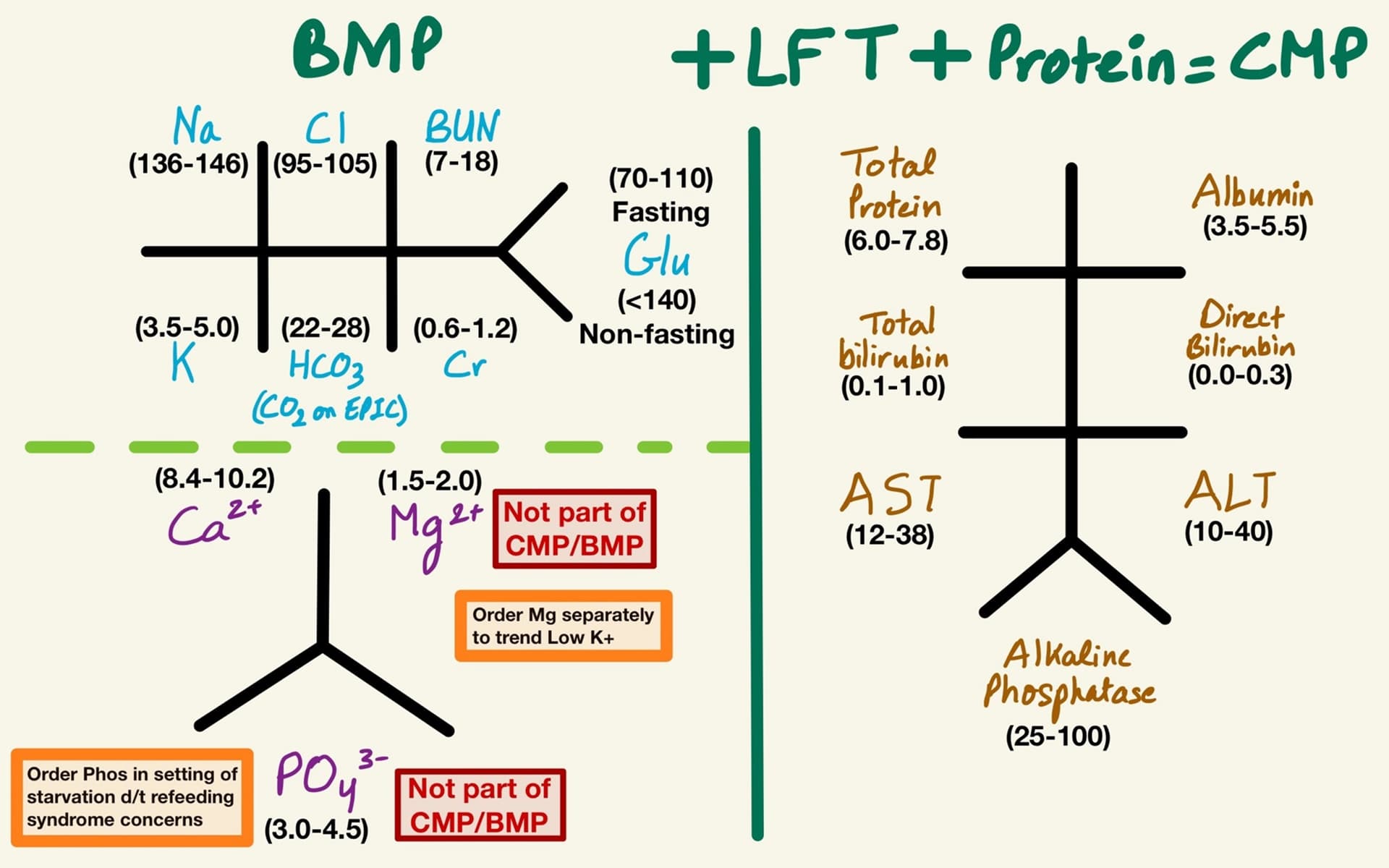 BMP vs CMP Indications