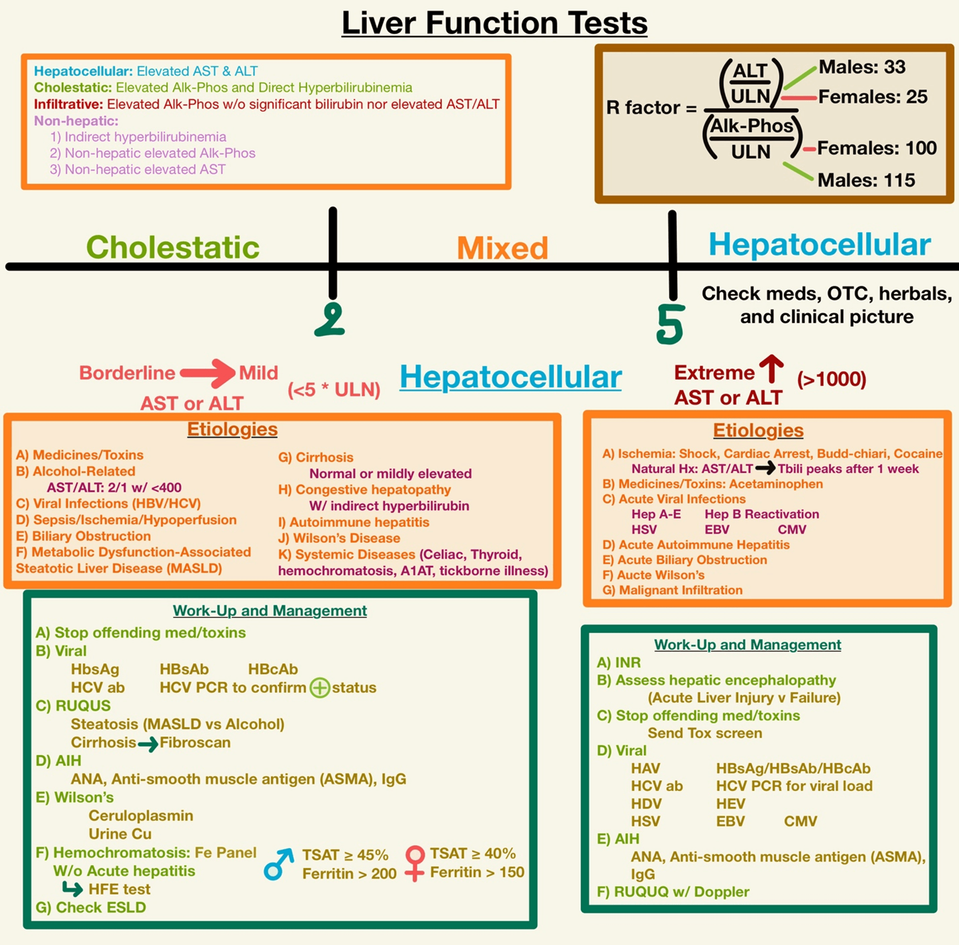 LFTs Hepatocellular